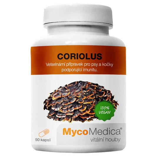 Coriolus Wrośniak różnobarwny MycoMedica 500 mg - Grzyb wspierający odporność - 90 kapsułek