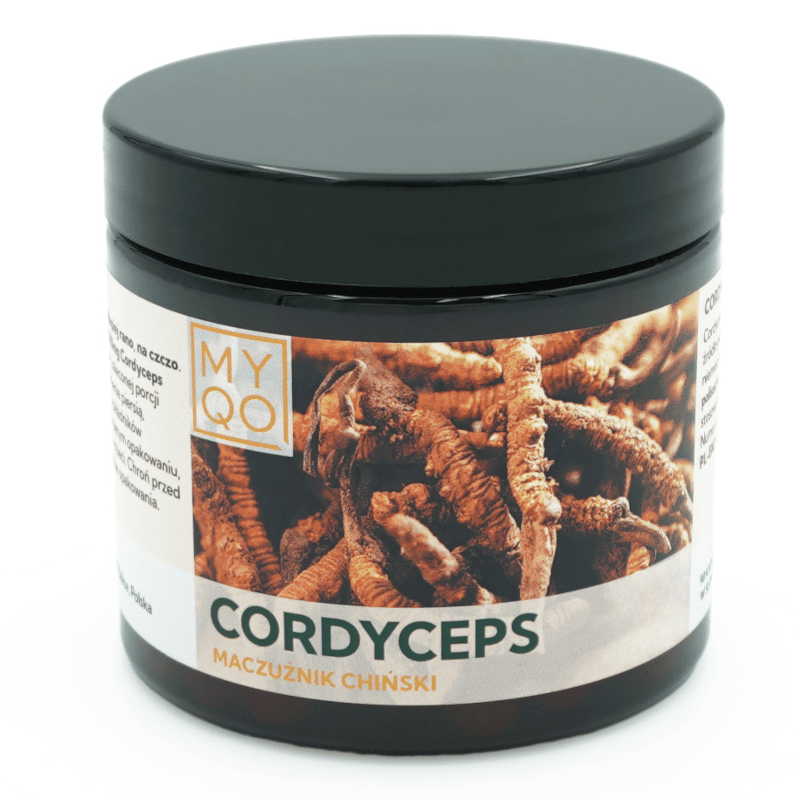 Maczużnik Chiński Cordyceps MYQO 500 mg 30% - 90 kapsułek