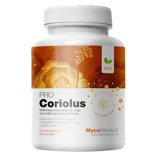 Coriolus PRO 35% MycoMedica - Wrośniak różnobarwny - 90 kapsułki