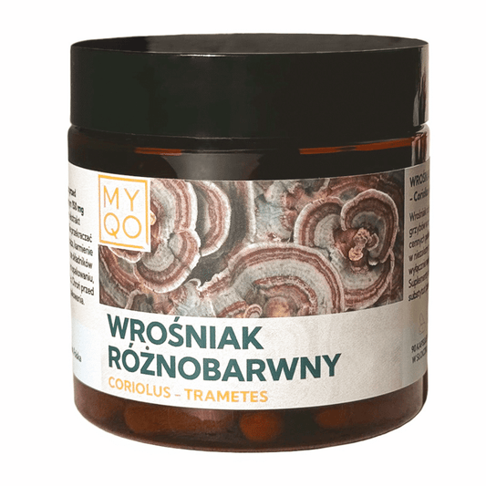 Wrośniak różnobarwny Coriolus 500 mg 30% polisacharydów MYQO - 90 kapsułek