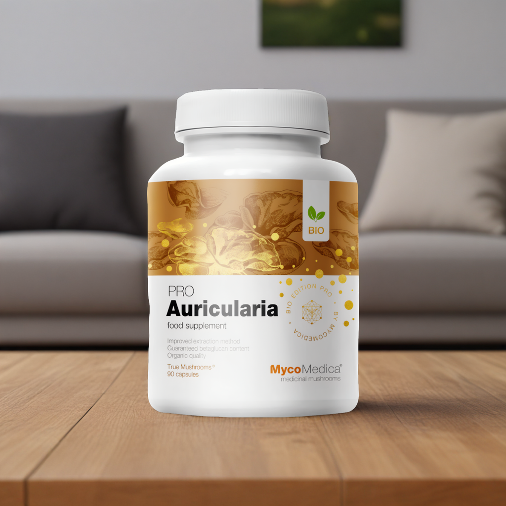 Auricularia PRO 30 % MycoMedica -Uszak bzowy ( uszak gęstowłosy ) - 90 kapsułek