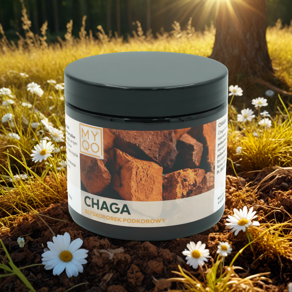 Błyskoporek podkorowy Chaga 500 mg 30% MYQO - 90 kapsułek