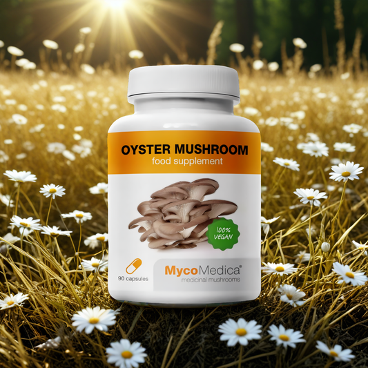 Boczniak ostrygowaty Oyster mushroom MycoMedica - Wspiera układ krążenia - 90 kapsułek