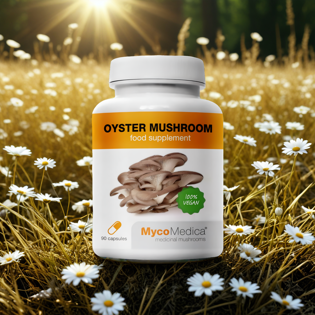 Boczniak ostrygowaty Oyster mushroom MycoMedica - Wspiera układ krążenia - 90 kapsułek