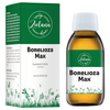 Borelioza MAX Zielana - Wsparcie organizmu -125ml