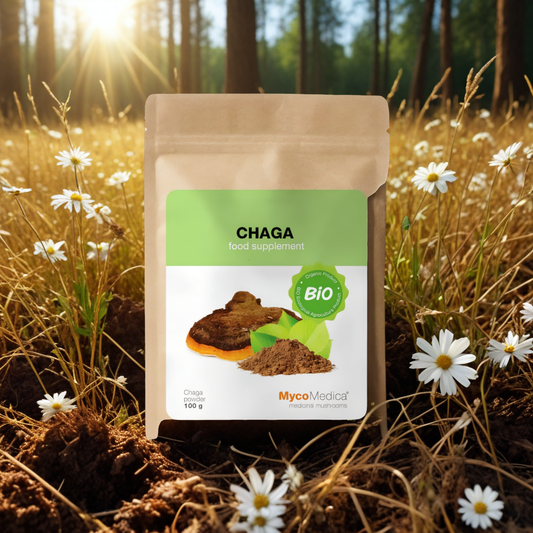 Chaga BIO MycoMedica Grzyby w proszku - Wspiera układ trawienny - 100 g
