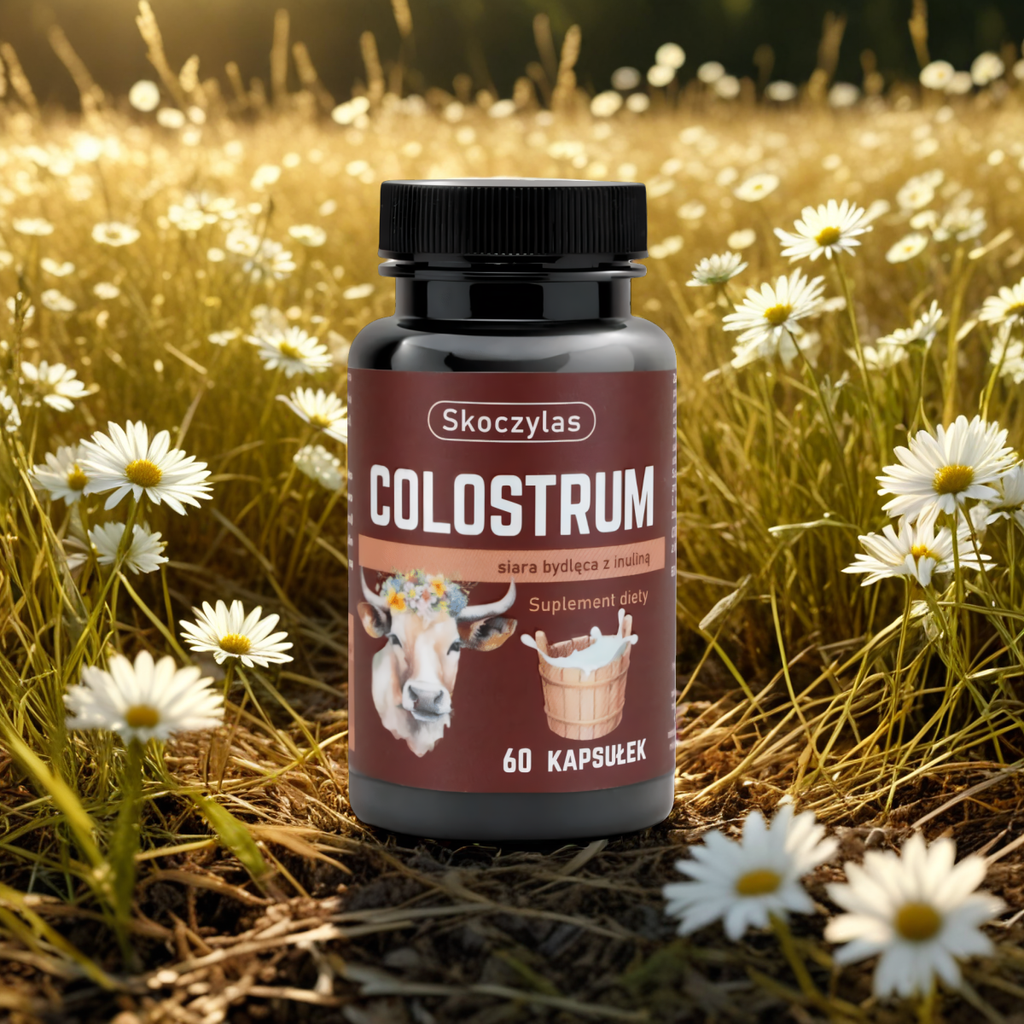 Colostrum bydlęce Skoczylas - Siara bydlęca z inuliną - 60 kapsułek