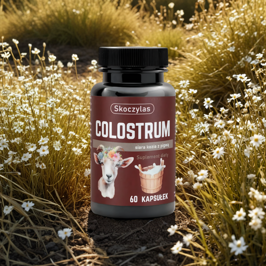 Colostrum kozie Skoczylas - Siara kozia z pigwą - 60 kapsułek
