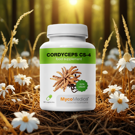 Cordyceps CS-4 MycoMedica 500 mg - Maczużnik chiński w optymalnym stężeniu - 90 kapsułek