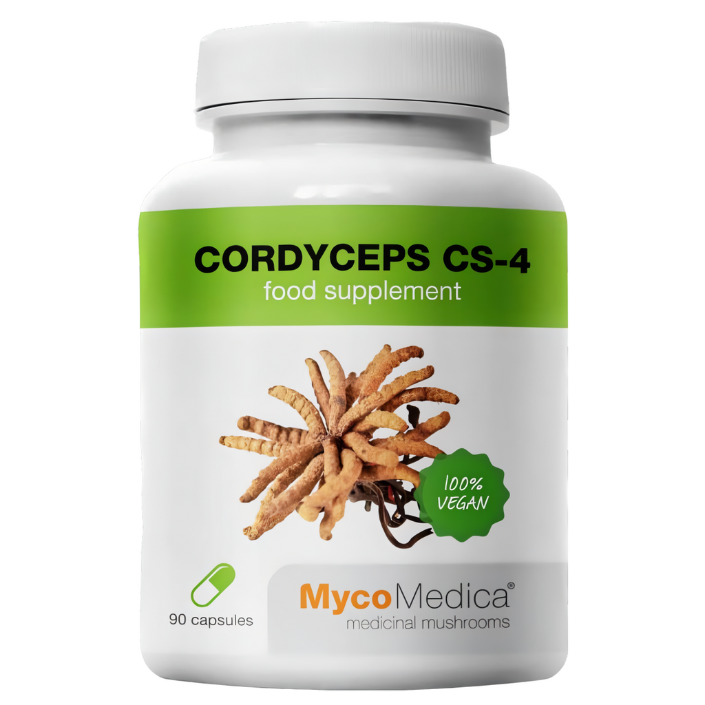 Cordyceps CS-4 MycoMedica 500 mg - Maczużnik chiński w optymalnym stężeniu - 90 kapsułek