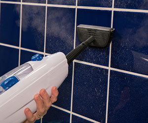 Steam Mop a 387 PLN