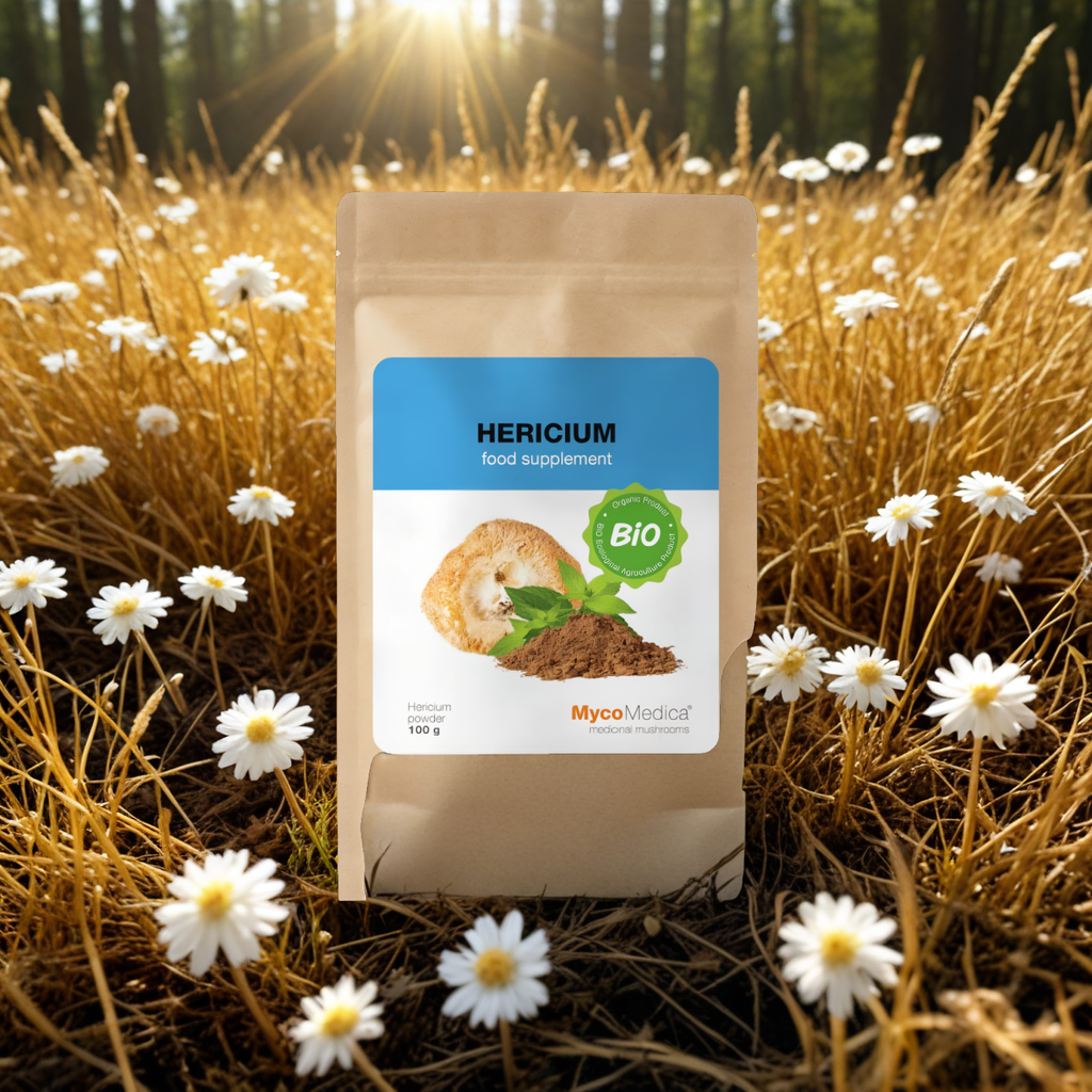 Hericium BIO MycoMedica Grzyby w proszku - Wspiera proces trawienia - 100 g