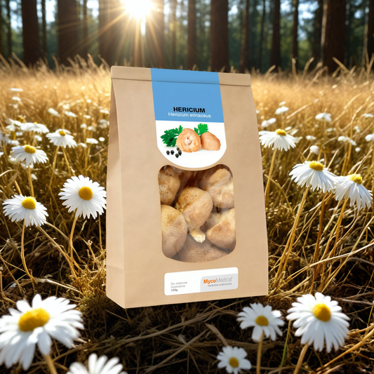 Hericium Grzyby suszone MycoMedica - Wspiera proces trawienia - 100 g