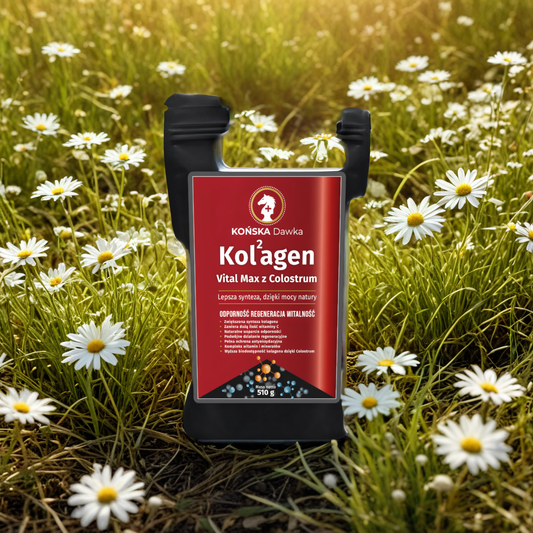Kolagen Vital MAX Końska Dawka - Kolagen z Colostrum - 510 g