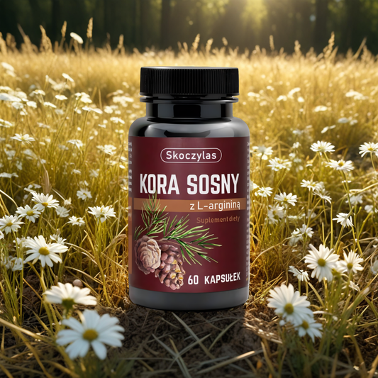 Kora sosny z L-argininą Skoczylas - Poprawa mikrokrążenia - 60 kapsułek