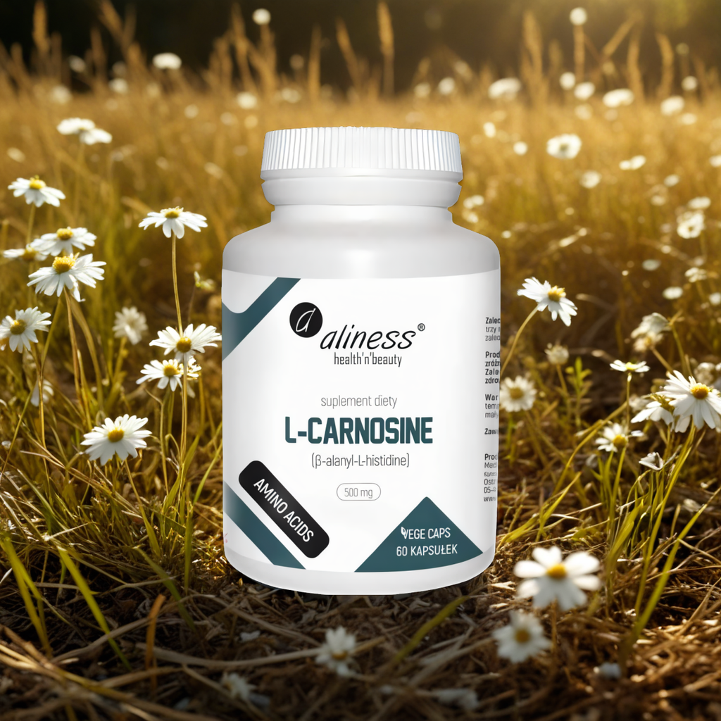 L-Carnosine 500 mg Aliness - Wspiera prawidłowe funkcjonowanie oranizmu - 60 kapsułek