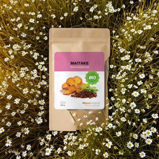 Maitake BIO MycoMedica Grzyby w proszku - Wspiera metabolizm - 100 g