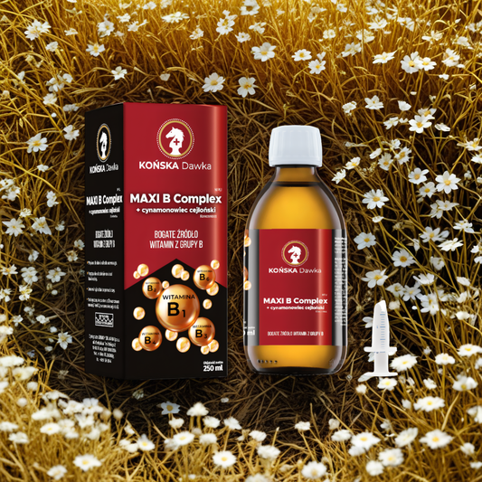 MAXI B Complex Końska Dawka - Cynamonowiec cejloński - 125 ml