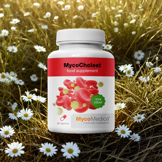MycoCholest MycoMedica - Wspomaga utrzymać prawidłowy poziom cholesterolu - 120 kapsułek