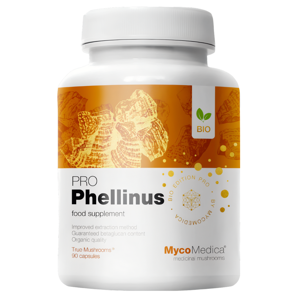 MycoMedica Phellinus linteus PRO 32 % - Mesima (czarny grzyb kopytny) - 90 kapsułek