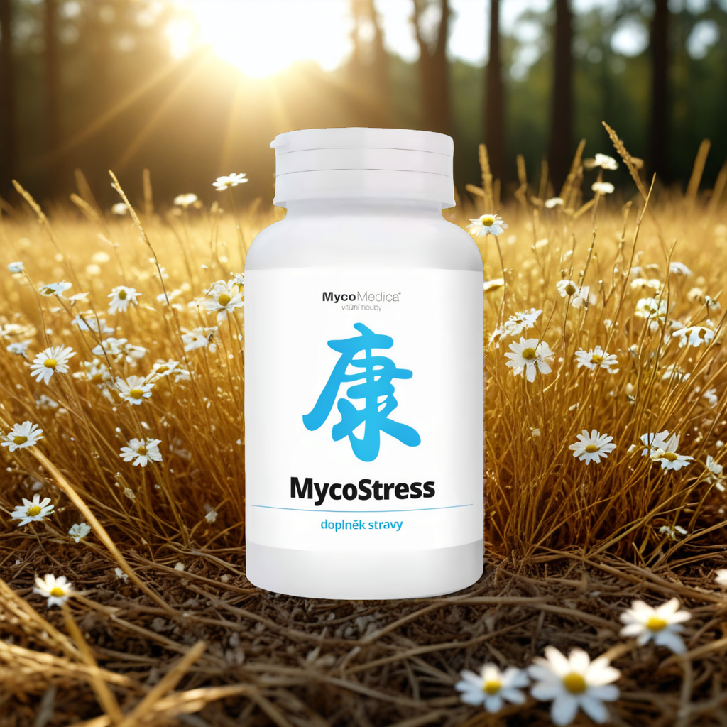 MycoStress MycoMedica - Pomaga wyciszyć umysł i ciało - 180 tabletek