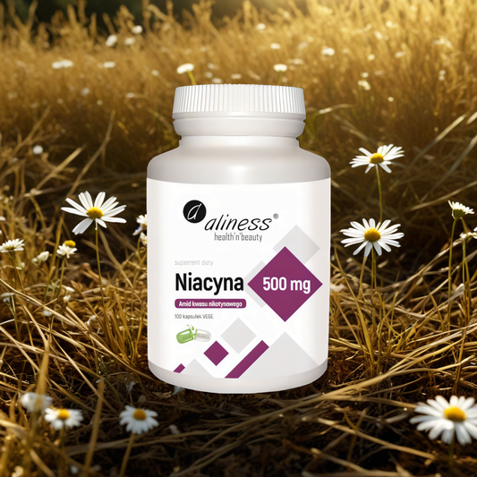 Niacyna Amid kwasu nikotynowego 500 mg Aliness - 100 kapsułek VEGE