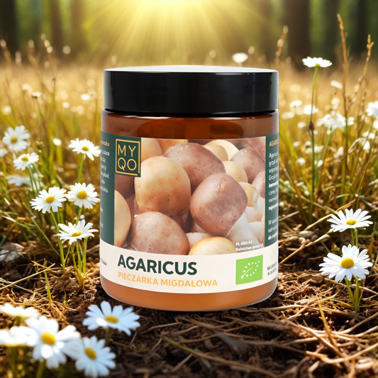 Pieczarka migdałowa Agaricus BIO MYQO 30% w proszku - 100 g