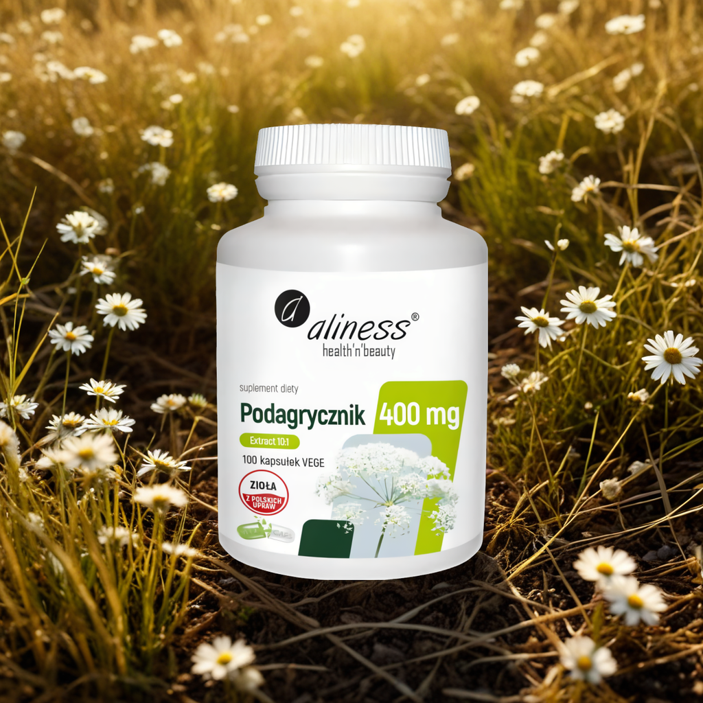 Podagrycznik ekstrakt 10:1 400mg Aliness - Poprawia funkcjonowanie wątroby, nerek i przewodu pokarmowego - 100 kapsułek