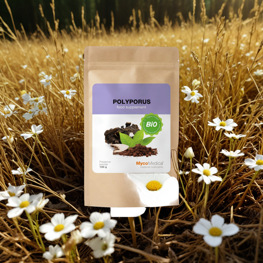 Polyporus BIO MycoMedica Grzyby w proszku - Wspiera pęcherz moczowy - 100 g
