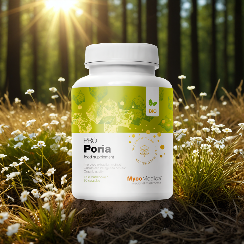 Poria PRO 30 % MycoMedica - Poria kokosowa - 90 kapsułek