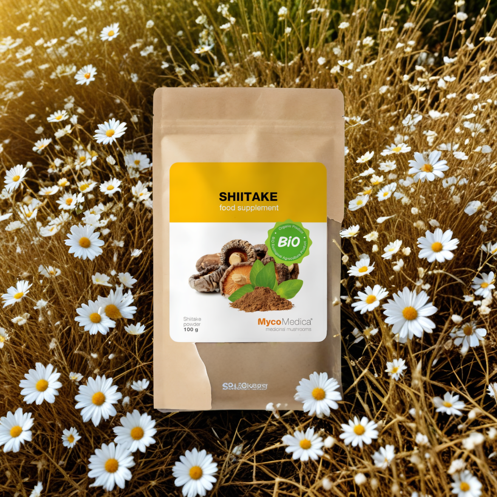 Shiitake BIO MycoMedica Grzyby w proszku - Pomaga w walce z infekcjami - 100 g