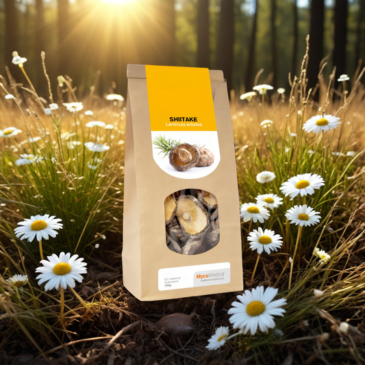 Shiitake Grzyby suszone MycoMedica - Wspomaga układ odpornościowy - 100 g