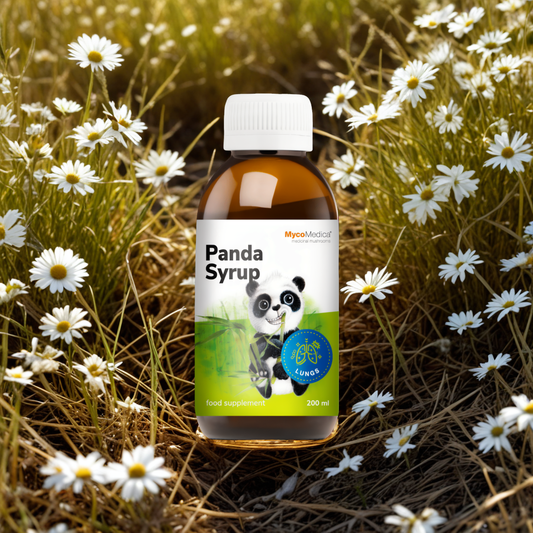 Syrop Panda MycoMedica - Układ oddechowy - 200 ml