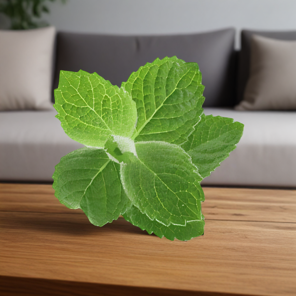 Żel wybielający do zębów Opalescence PF 16% Wszystkie smaki: mięta, melon i neutralny - 4 sztuki (Smak: melon)