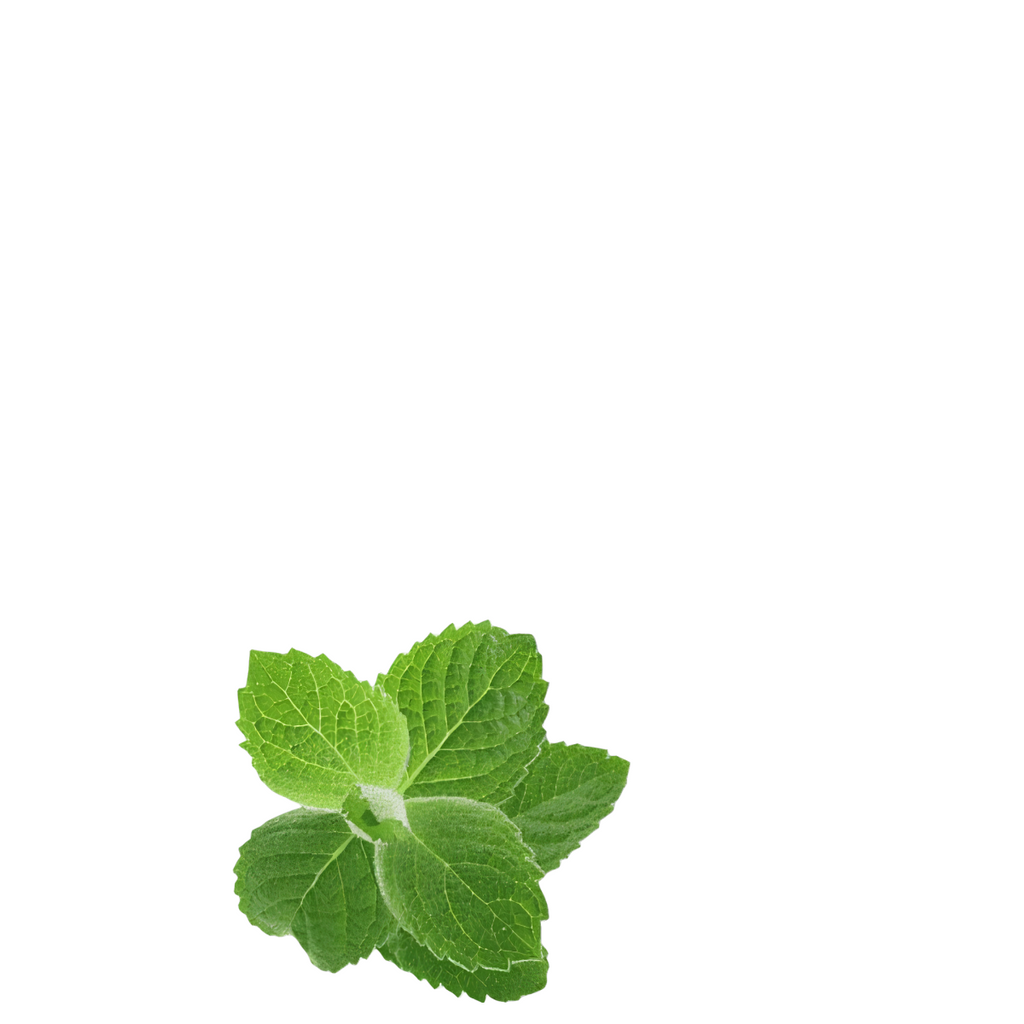 Żel wybielający do zębów Opalescence PF 16% Wszystkie smaki: mięta, melon i neutralny - 4 sztuki (Smak: neutralny)