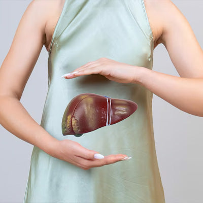 liver